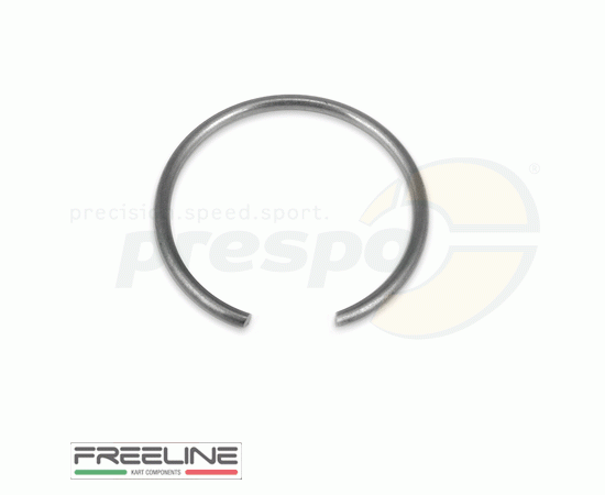 Bild 1 - seeger for bushing bearing gear lever  BIREL-ART   model: 2016