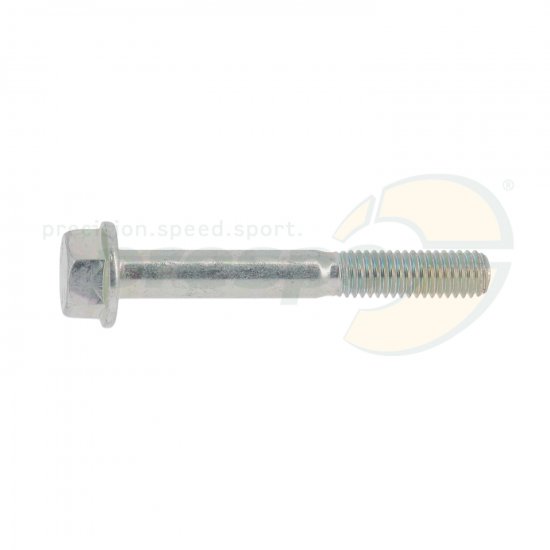 Bild 1 - screw for semi housing CRG M8x60mm