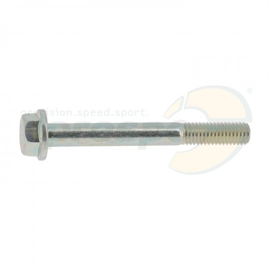 Bild 1 - screw for semi housing CRG M8x70mm
