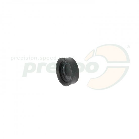 Bild 1 - pic 08 piston seal