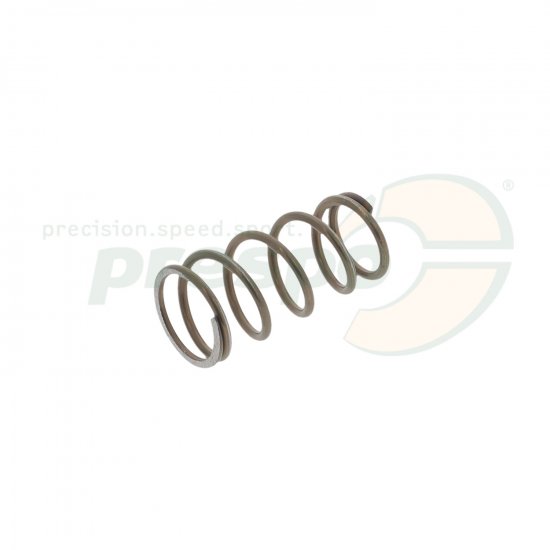 Bild 1 - pic 08 spring for piston brake pump CRG
