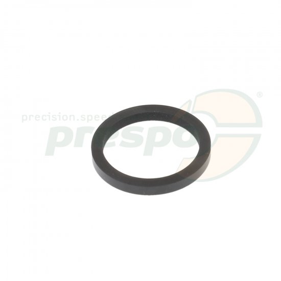 Bild 1 - pic 08 piston seal