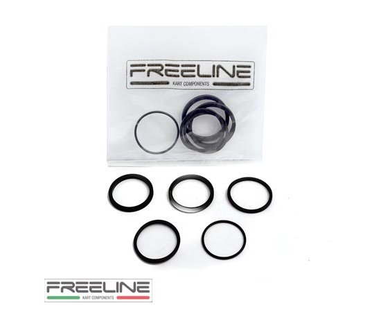 Bild 1 - pic 14 kit of gaskets for 2-piston rear hydraulic caliper FREE-LINE  model: RR-132X2