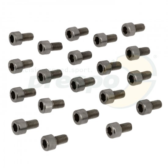 Bild 1 - No. 04 Screw TCCE M6 x 10 mm 20 Pack - Cylinder IAME REEDSTER V