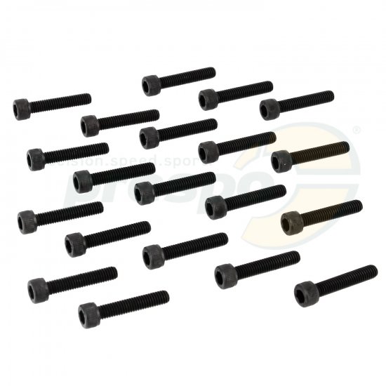 Bild 1 - No. 17 Screw M6 x 30 mm 20 Pack - Cylinder IAME REEDSTER IV