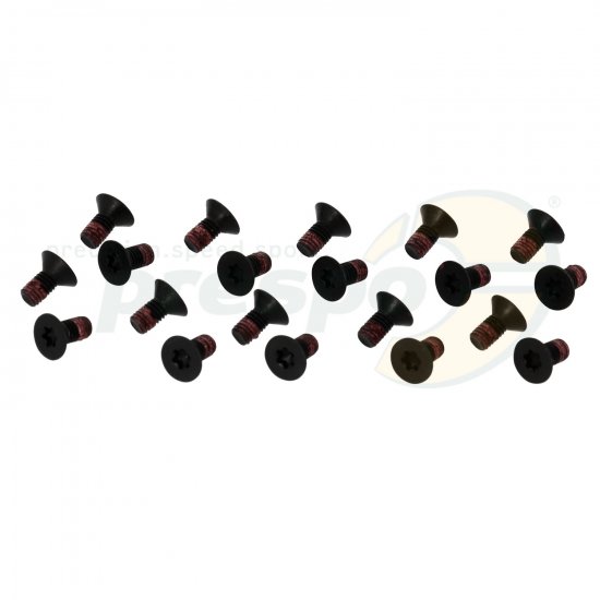 Bild 1 - No. 112 TORX-screw M5x10mm - IAME S125