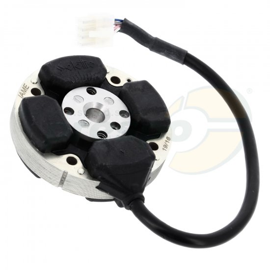 Bild 1 - No. 276A Ignition (Rotor + Stator) - IAME Leopard