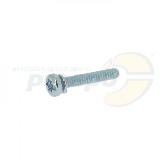 Bild 1 - No. 31 - Screw body for Carburettor - Tillotson HW-50A