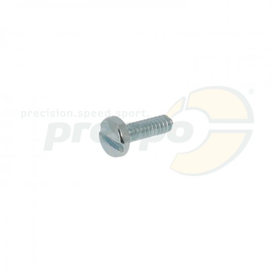 Bild 1 - No. 20 - screw for cover fuel screen - Tillotson