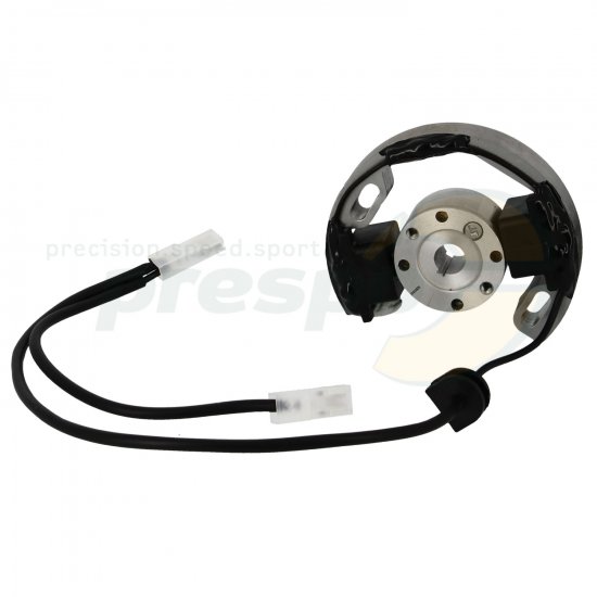 Bild 1 - No. 276A Ignition Selttra (Rotor + Stator) - IAME Water Swift