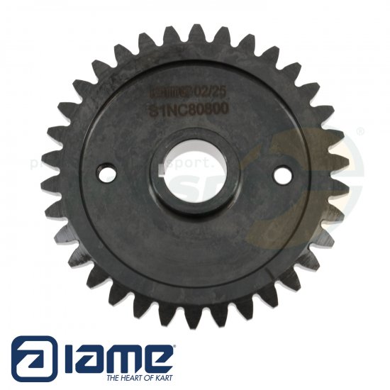 Bild 1 - No. 48 countershaft drive gear for balance shaft - IAME S125