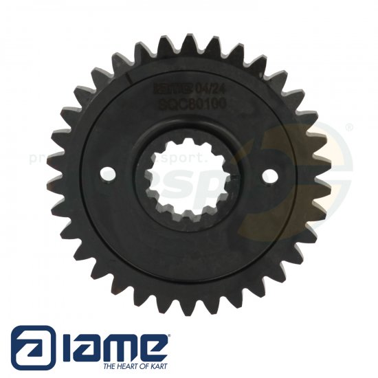 Bild 1 - No. 49 drive gear for balance shaft - IAME S125