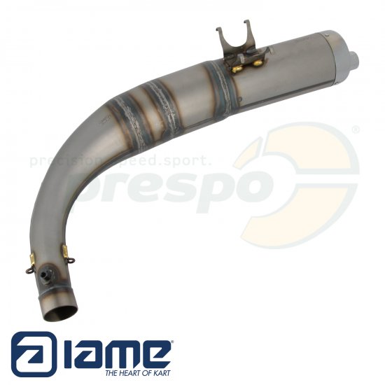 Bild 1 - No. 145 Exhaust - IAME S125