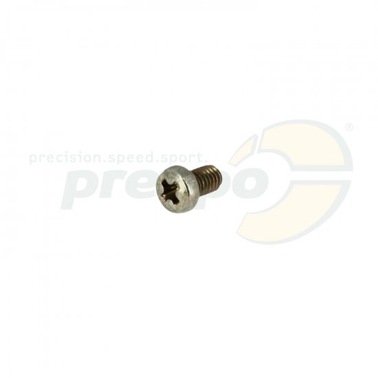 Bild 1 - No. 171 Screw for Reed Petal - IAME Screamer III