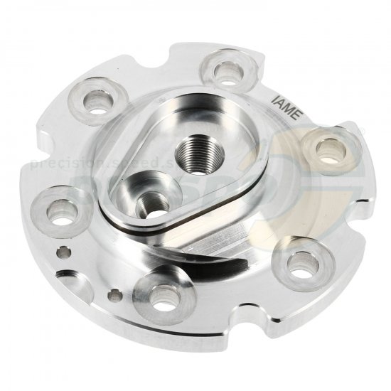 Bild 1 - pic 09 combustion chamber insert IAME REEDSTER IV  -OK