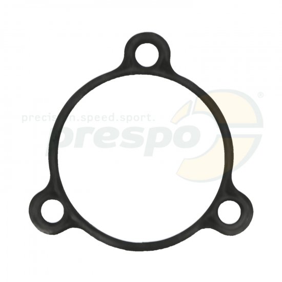 Bild 1 - No. 125 gasket for cover balancing shaft - IAME REEDSTER IV