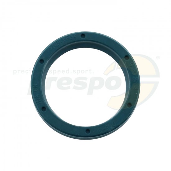 Bild 1 - pic 417 oil seal primary disc clutch IAME Super Shifter