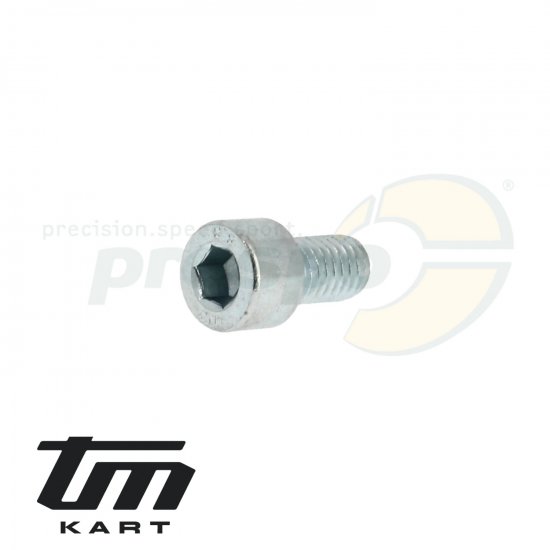 Bild 1 - pic 32 screw for intake manifold TM KZ10