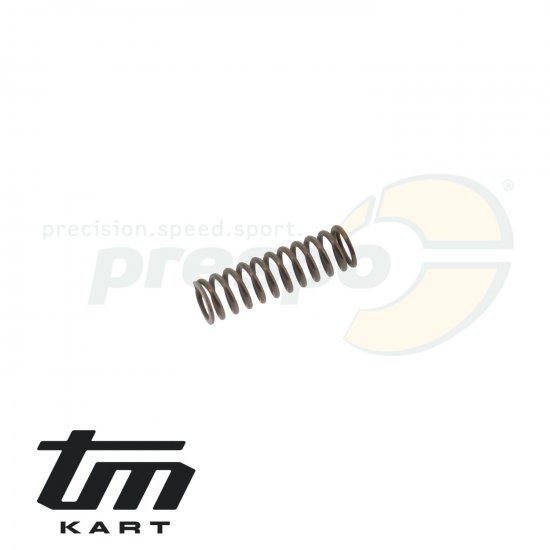 Bild 1 - pic 14 spring for ratchet TM KZ R2