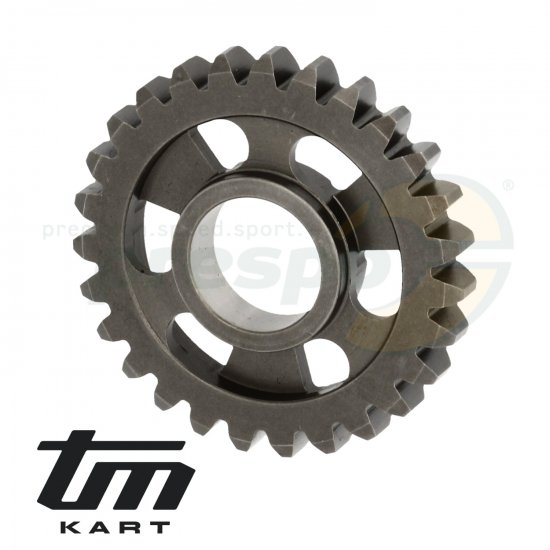 Bild 1 - pic 47 gear wheel secondary shaft    3rd  - TM KZ10