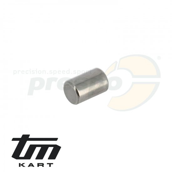 Bild 1 - pic 02 needle pin crankcase TM KZ R1