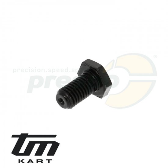 Bild 1 - pic 12 hexagonal screw - primary disc clutch TM KZ10B