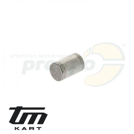 Bild 1 - pic 02 needle pin crankcase TM KZ10B