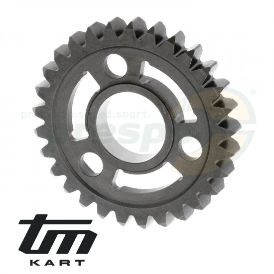 Bild 1 - pic 08 gear wheel secondary shaft    2nd  - TM KZ10B  model: 2013