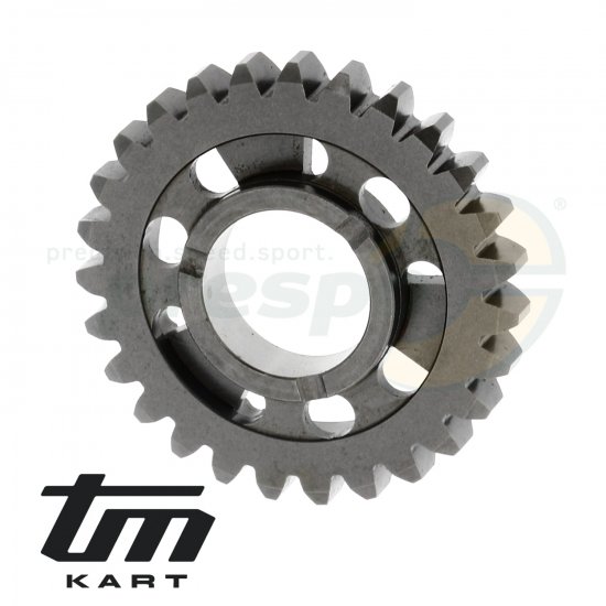 Bild 1 - pic 16 gear wheel secondary shaft    3rd  - TM KZ10B - model up from 2014