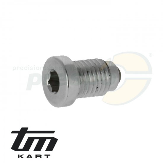 Bild 1 - pic 13 drain screw for gear oil with magnet TM KZ10C
