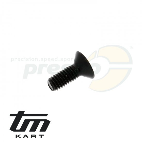 Bild 1 - pic 17 countersunk head screw M 6x16 mm