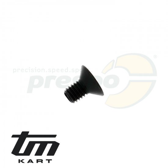 Bild 1 - pic 17a countersunk head screw M 6x10 mm