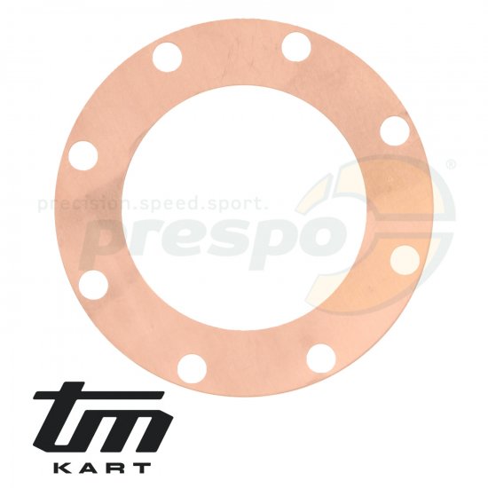 Bild 1 - pic 06 gasket cylinder head  TM   KZ10C - 0.20 mm