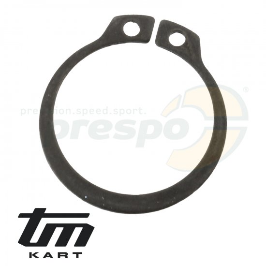 Bild 1 - pic 07 seeger primary shaft TM KZ R1