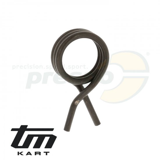 Bild 1 - pic 05 spring  gear selector TM KZ R1