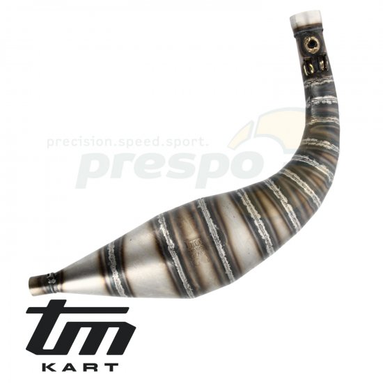 Bild 1 - pic 02 exhaust muffler TM KZ R1