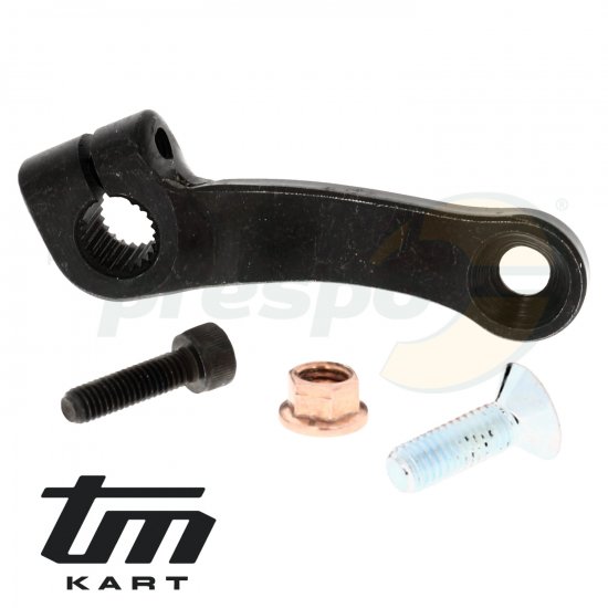 Bild 1 - pic 34 gear lever engine TM KZ R2 - short type