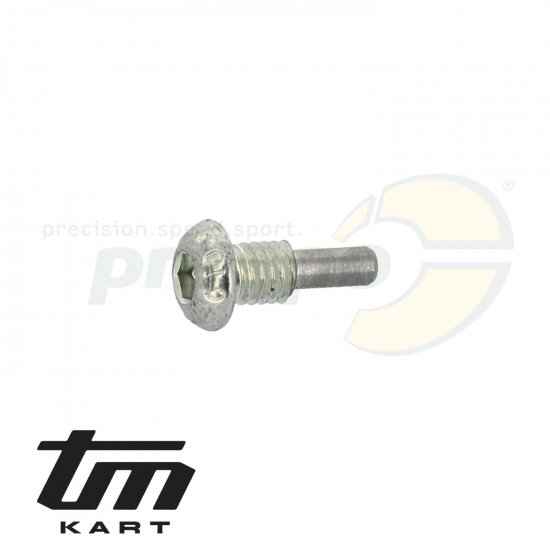 Bild 1 - pic 41 locking bolt clutch lever TM KZ-R2