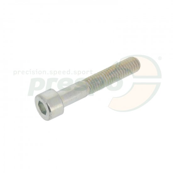 Bild 1 - cylinder head-screw  M 8 x 45 mm