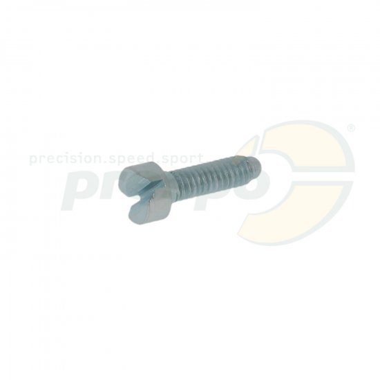 Bild 1 - No. 23 - idle speed screw - Tillotson