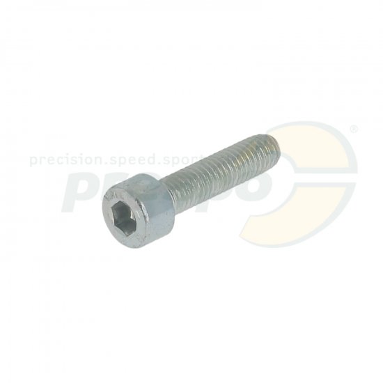 Bild 1 - pic 29 screw for float chamber Dellorto