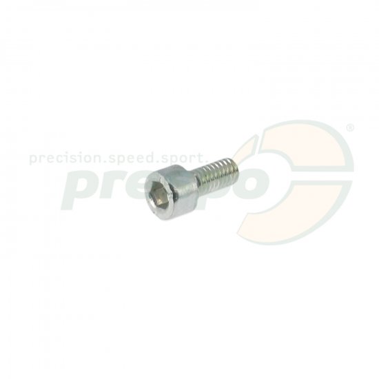 Bild 1 - cylinder head-screw  M 5 x 10 mm