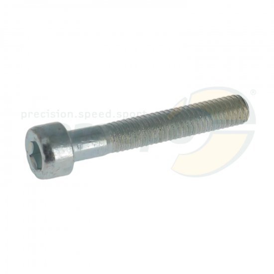 Bild 1 - pic 04 screw M5x30mm Zndung