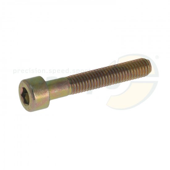 Bild 1 - cylinder head-screw gold  M 5 x 30 mm  steel 8.8