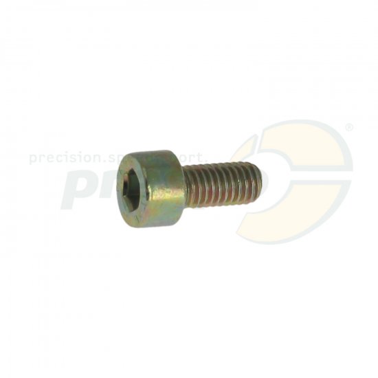 Bild 1 - cylinder head-screw gold  M 5 x 10 mm  steel 8.8