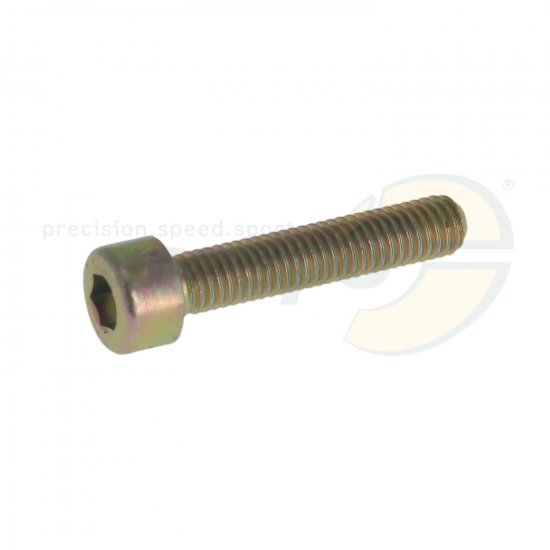 Bild 1 - cylinder head-screw gold  M 5 x 25 mm  steel 8.8