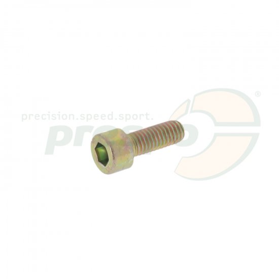 Bild 1 - pic 07 screw for brake caliper M6x16mm