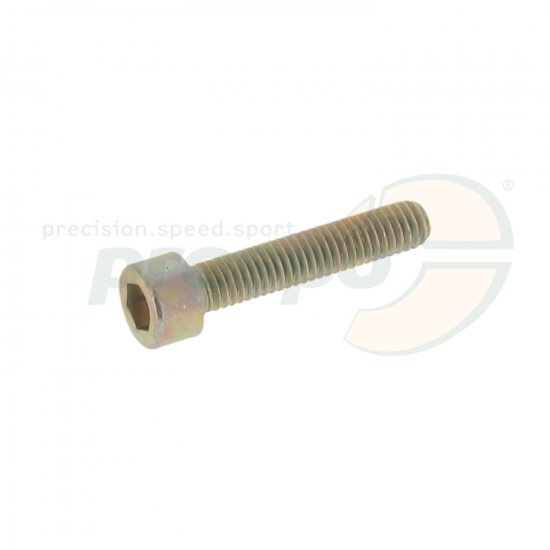 Bild 1 - cylinder head-screw gold  M 6 x 30 mm  steel 8.8