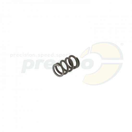 Bild 1 - pic 364 spring for mixture screw   IBEA