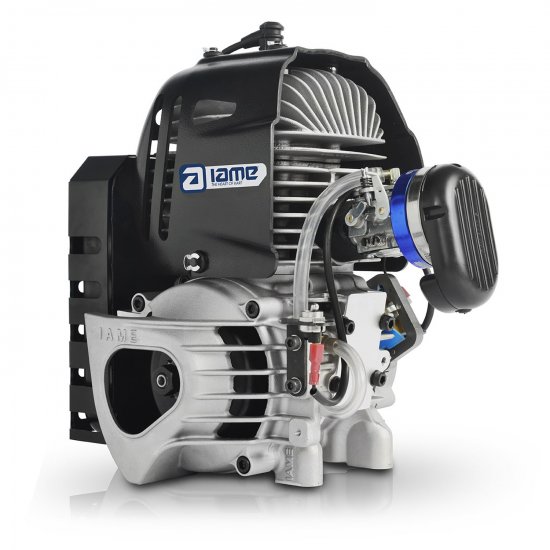 Bild 1 - engine IAME M1 60cccomplete  model 2019